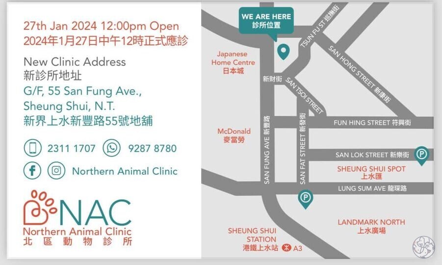 立原道造新診所 活泉動物醫療中心Fountain of Life Animal Medical Centre