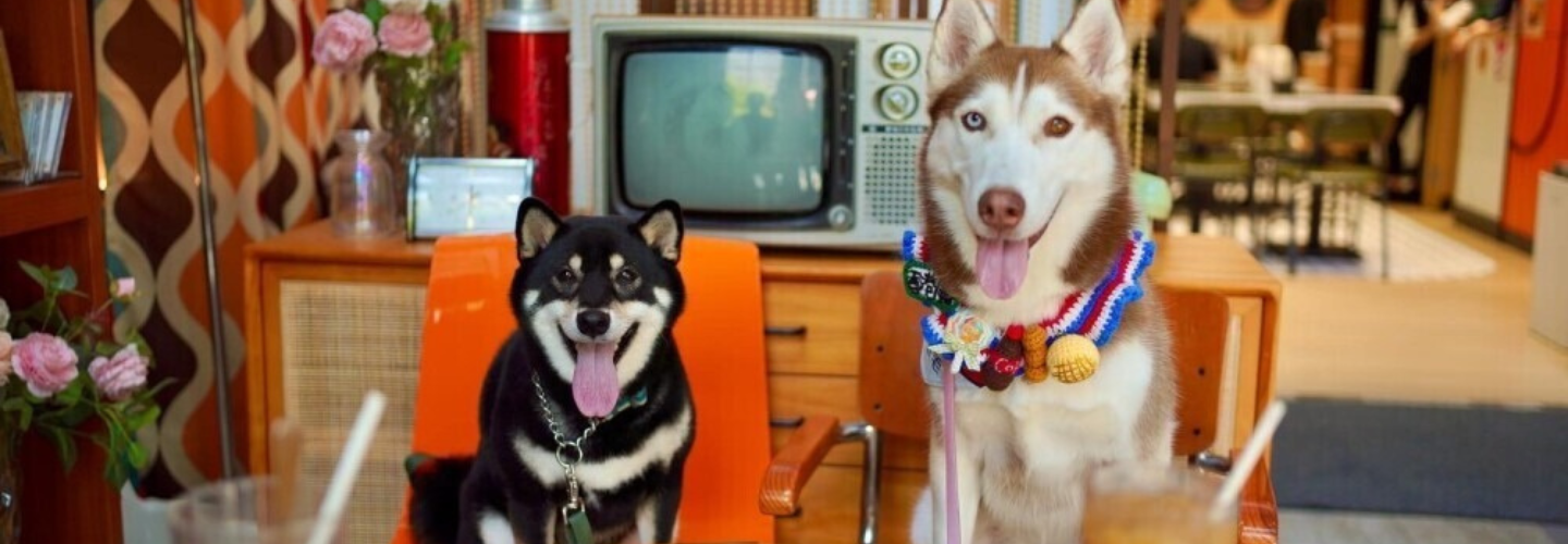 The 8 Recommended Pet-Friendly Chinese Restaurants in Hong Kong