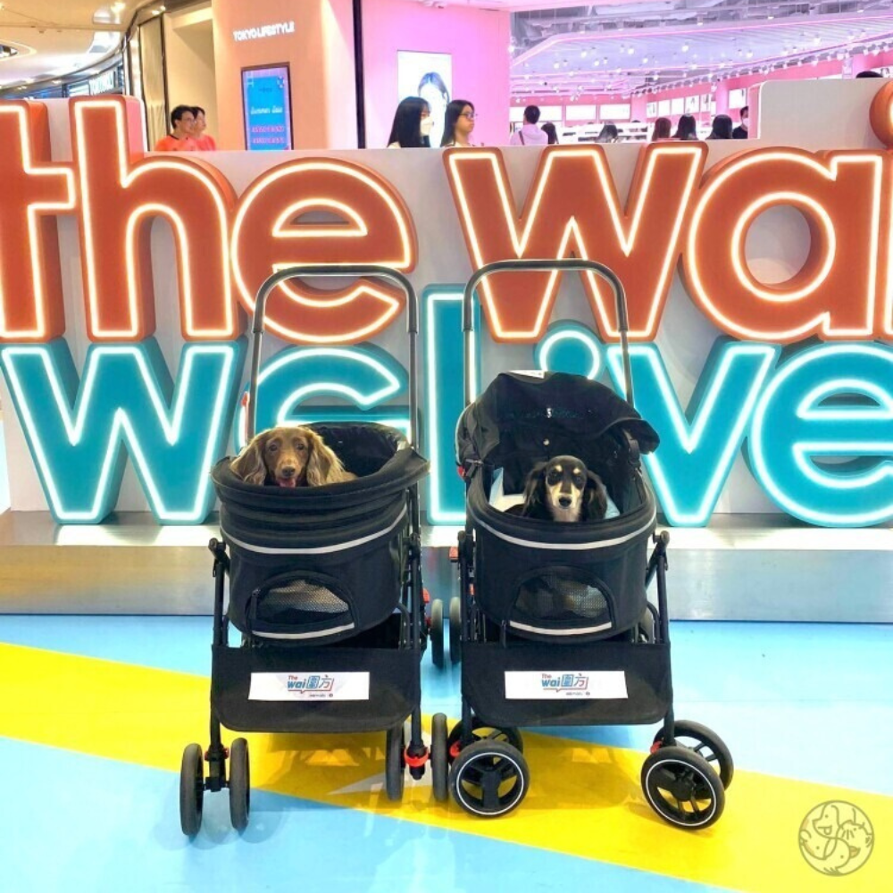 4 Pet-friendly Spots in 2023: Pet parks, pet-friendly mall, and exquisite seaside