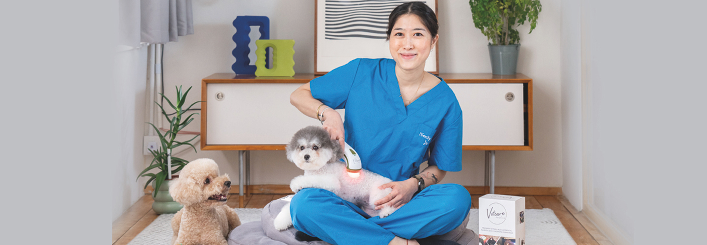 5 Serious Consequences of Pets Suffering in Pain. Veterinary Nurse Warns: Don't Ignore Dogs’ and Cats’ Pain