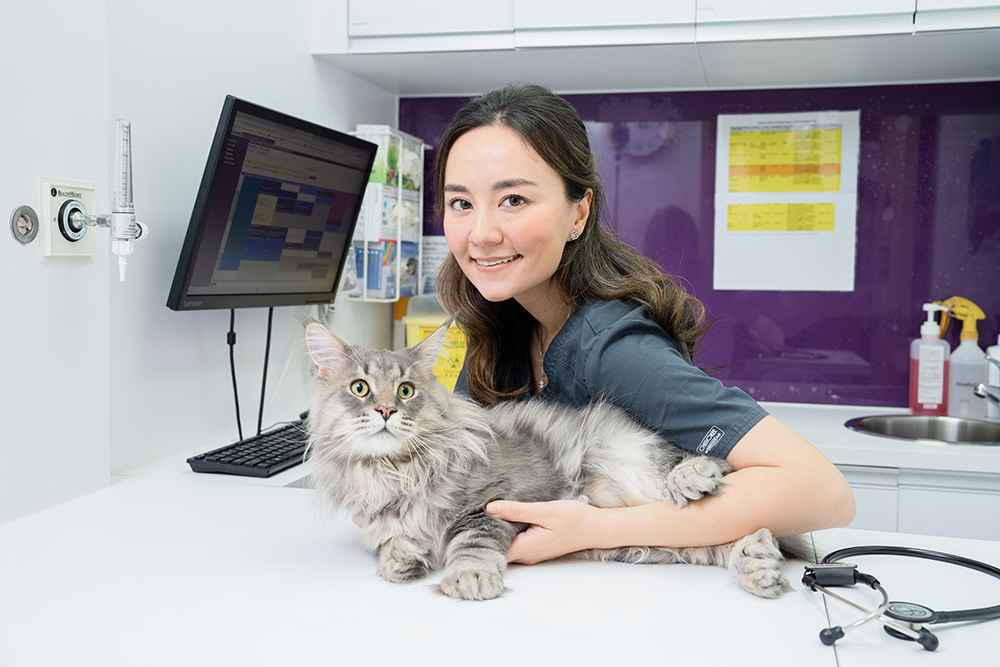 Diabetes in Cats and Dogs is not scary 3 Ways to Stay Health of Pet