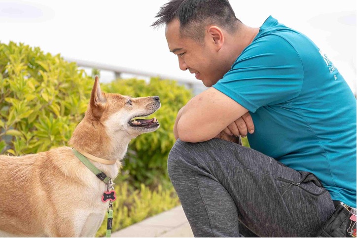 MDF My Doggy Says | Train your Dog to be an Expert of OutdoorDon’t Let your Dog Take Control!