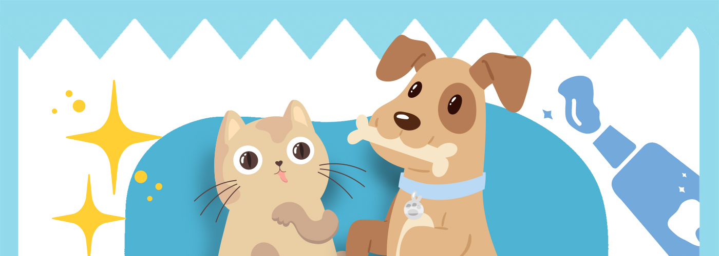 Canine and Feline Dental Care ｜ Let’s Talk about Teeth!