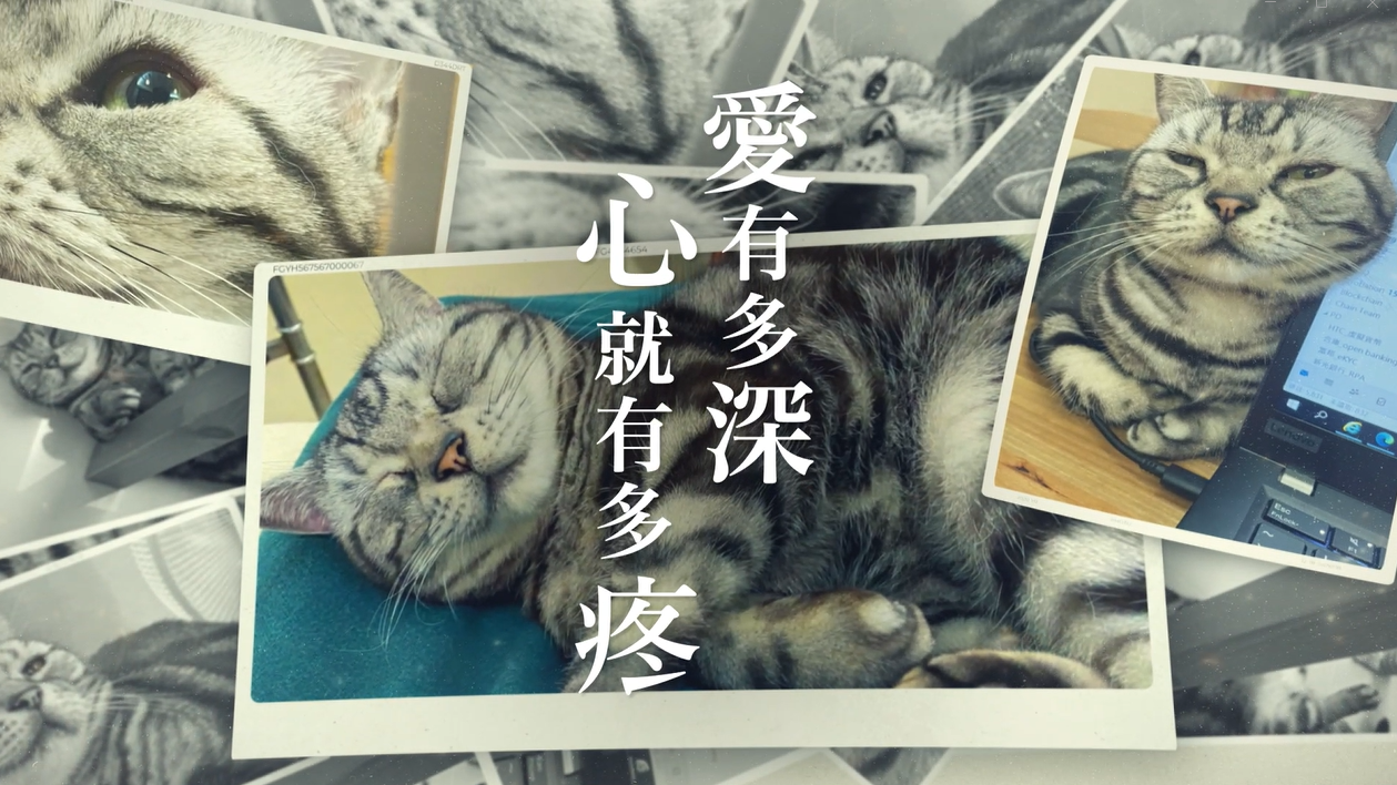 Royal Canin Launches ‘Take Your Pet to the Vet’ Campaign To Share Real Heart-stirring Stories of Pet Illnesses
