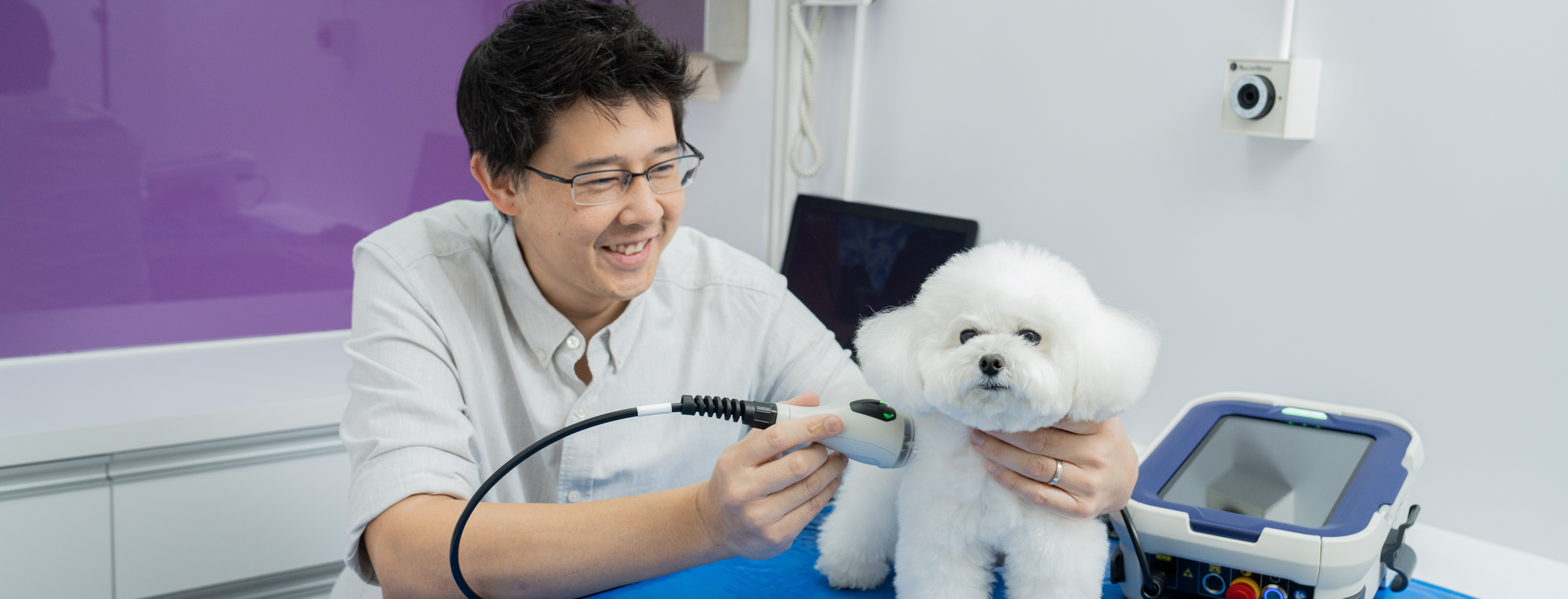Obesity is Causing Arthritis in Our Pets! Vet Explains the Causes and Ways to Prevent of Pet Arthritis