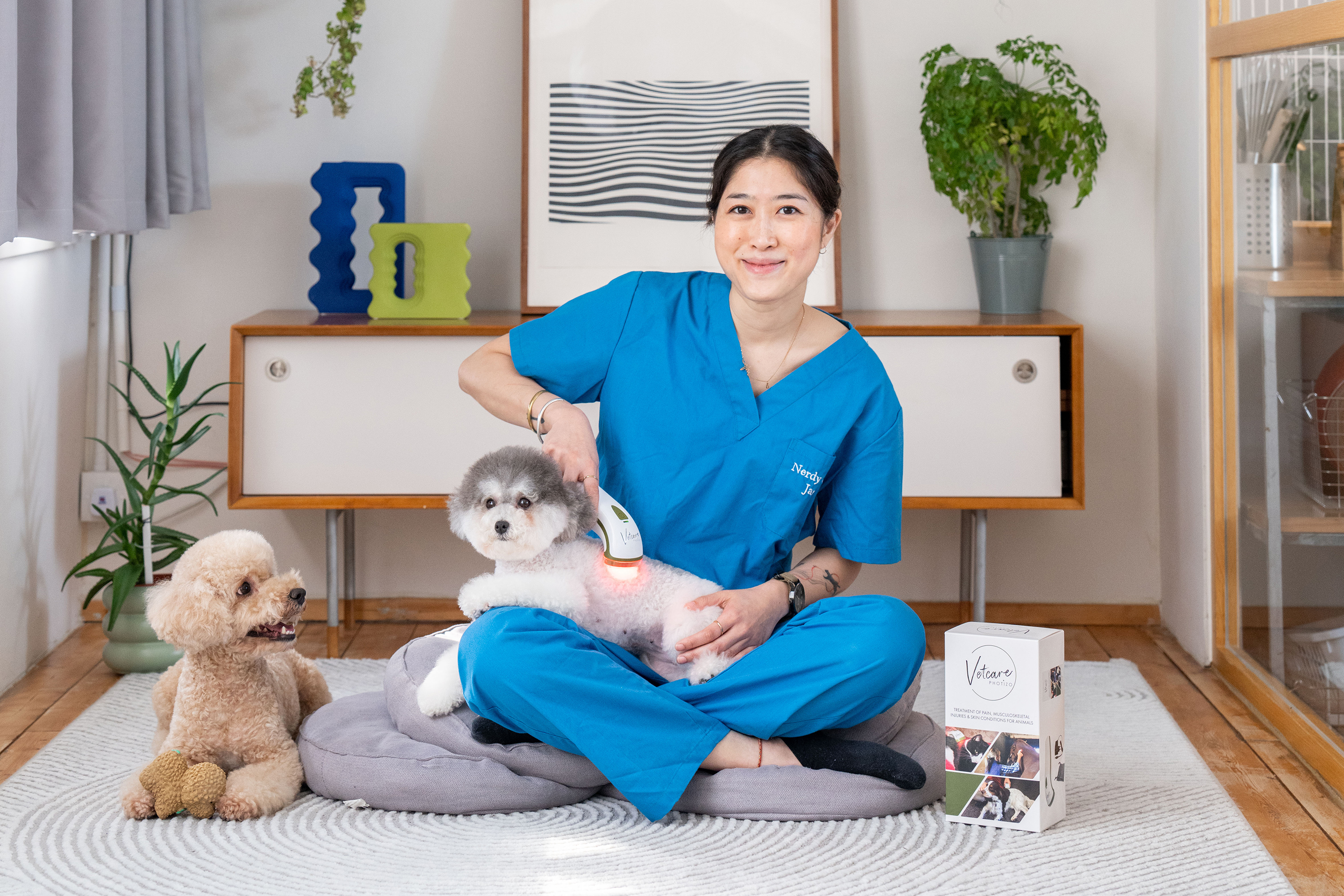 5 Serious Consequences of Pets Suffering in Pain. Veterinary Nurse Warns: Don't Ignore Dogs’ and Cats’ Pain