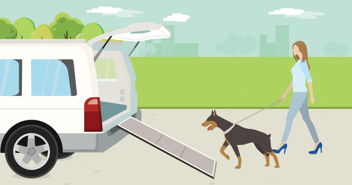 Vet Tips｜ Canine Orthopaedic Injuries and Disease