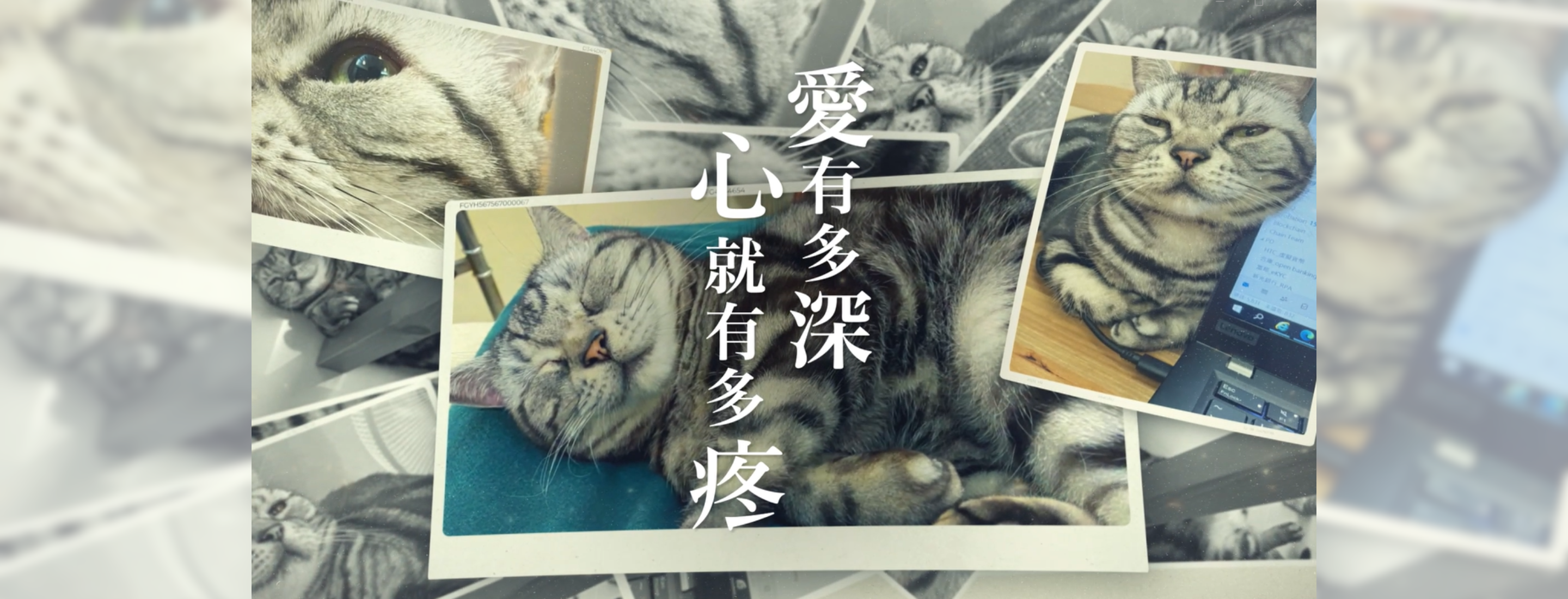 Royal Canin Launches ‘Take Your Pet to the Vet’ Campaign To Share Real Heart-stirring Stories of Pet Illnesses