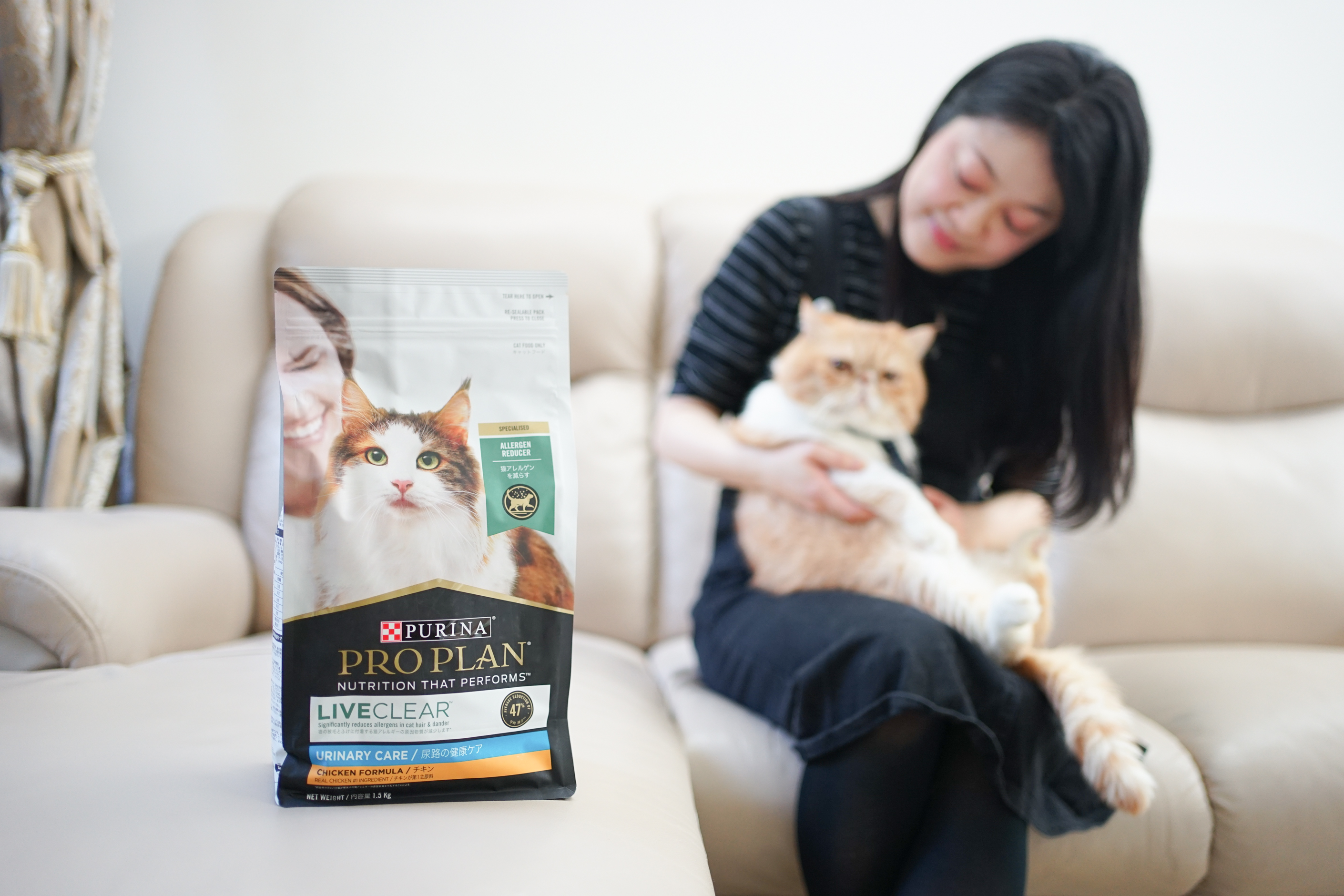 Solution to reduce your allergic reactions to Cats