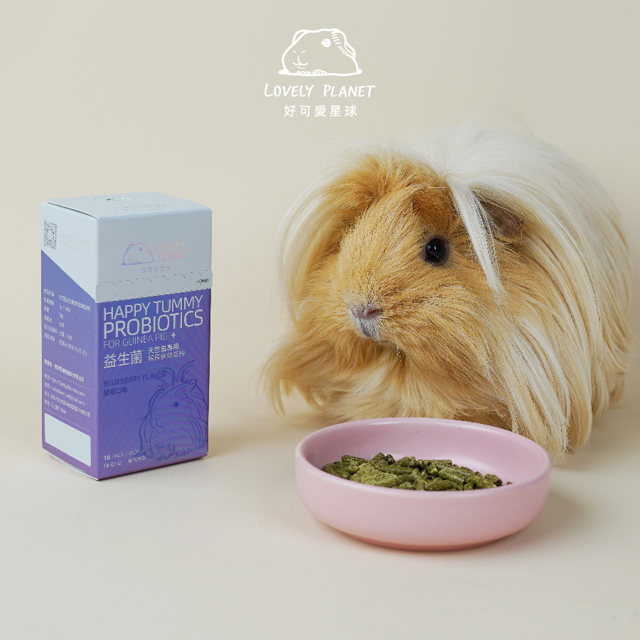 Guinea Pig Probiotics Digestive Health Grass Powder (4 Boxes) PET-A ...