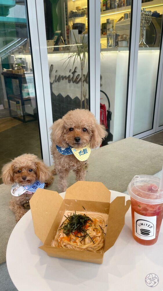 Limited 九龍九龍城區 Pet A Hood 寵物資訊平台 Petahood Com