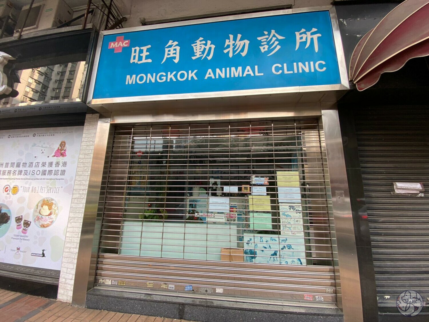 旺角動物診所- 九龍油尖旺區| PET-A-HOOD 寵物資訊平台- petahood.com