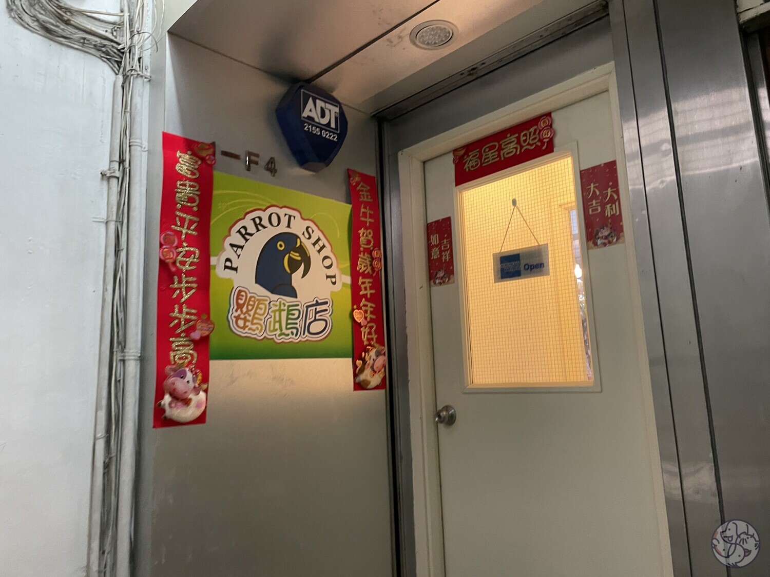鸚鵡店- 香港灣仔區| PET-A-HOOD 寵物資訊平台- petahood.com