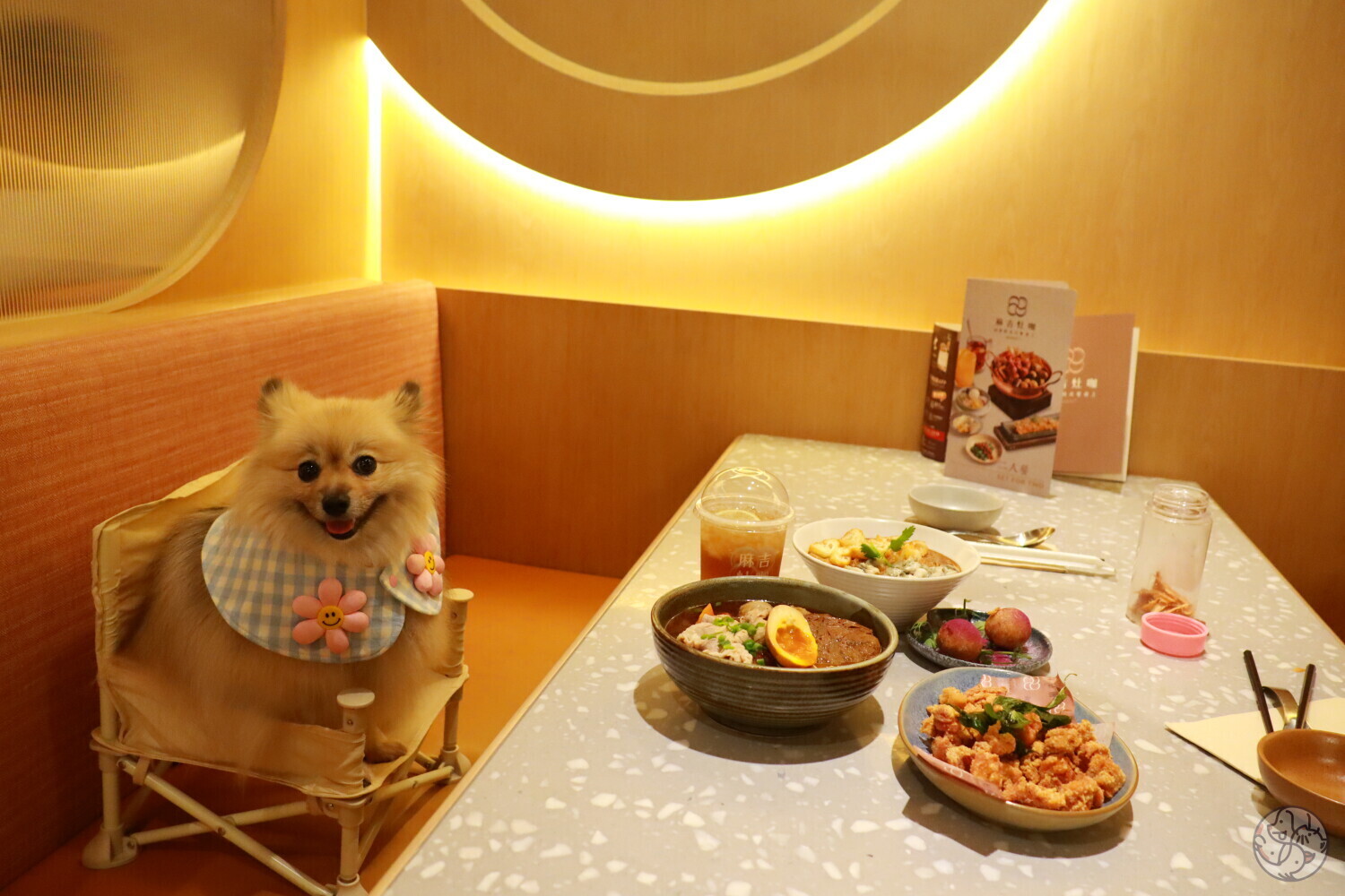 麻吉灶咖- 九龍油尖旺區| PET-A-HOOD 寵物資訊平台- petahood.com